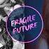 Little Mix Vs Ariana Grande No Time Left To Cry Fragile Future Mashup