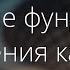 Урок 1 С ЧЕГО НАЧАТЬ УЧИТЬ КАЗАХСКИЙ ЯЗЫК самоучитель казахского языка