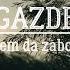 Gazde Ja Pijem Da Zaboravim Official Lyric Video