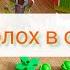 Свен Нурдквист Переполох в огороде