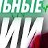 Как выбирать акции Мои 9 основных шагов Фундаментальный анализ акций