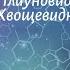 Биология 7 кл Пасечник 15 Плауновидные Хвощевидные