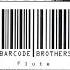 Barcode Brothers Flute Radio Edit