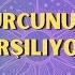 Akrep Burcunda Yeni Ay şifalanma Ve Dönüşüm Enerjilerini Getirecek 28 Ekim 3 Kasım 2024