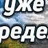 Есть ли у нас выбор или всё уже предопределено судьбой заранее