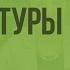 Годовой ход температуры Видеоурок по географии 6 класс