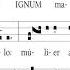 Signum Magnum Canto Gregoriano Gregorian Chant