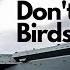 Britain S Biggest Warship Season 2 Episode 2 Don T Feed The Birds