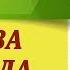 8 песен на ДВА АККОРДА под гитару без баррэ Песни под гитару на 2 ух ПРОСТЫХ аккордах без баррэ