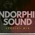 SevenEver Special Mix For Endorphin Sound