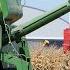 Vintage Combines Harvesting Corn At Half Century Of Progress Show 2023 Day 1