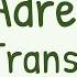 Adrenergic Transmission Synthesis Release Of Noradrenaline By Sympathetic Postganglionic Neuron