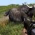 Hunting Yaks On Farcry 4