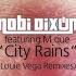 City Rains DJ Tool