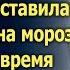 Мачеха выставила падчерицу на мороз А спустя время побелела как мел узнав