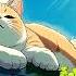 Lofi Cat Beats Boost Focus Lofi Hip Hop Mix Lofi Beats To Study Chill To