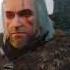 GMV Король и Шут Мертвый анархист The Witcher 3 Wild Hunt