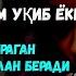 Пайшанба ТОНГИНГИЗНИ АЛЛОХНИНГ КАЛОМ БИЛАНІ АЛЛОХ ТАОЛО СИЗ СУРАГАН НАРСАНГИЗНИ ОРТИҒИБИЛАН БЕРАДИ