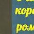 Всеволод Гаршин Очень коротенький роман аудиокнига