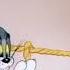 Tom And Jerry Mouse Trouble 1944 Clip 01