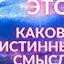 КТО ИСТИННЫЙ БОГ НА САМОМ ДЕЛЕ СМЫСЛ ПРИХОДА ХРИСТА 12 ЗАПОВЕДЕЙ ВОЗНЕСЕНИЕ В 5D ФИДРЯ ЮРИЙ