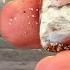 Beach Covered In Gemstones Beachcombing On A Northern English Coast