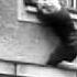 East Berliners Jump To Freedom And Cross The Berlin Wall To Escape Newsreel PublicDomainFootage Com