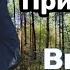 Роща Прибужская Виталий Аксёнов Эта песня согреет вам душу