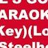 Steelheart She S Gone Karaoke Female Key Lower Key