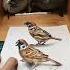 3d Drawing Birds Creative Drawing Ideas Catch This Bird Shorts 3dart 3ddrawing