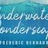 Underwater Wonderscapes