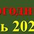 Что положить на новогодний стол чтобы деньги были всегда Приметы и ритуалы на Новый 2025 год Змеи