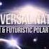 MATTN Vs Futuristic Polar Bears Universal Nation Dimitri Vegas Like Mike Edit