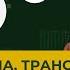 Новые правила для неквалов что изменилось Повышение налога для Транснефти Акции РУСАЛа