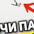 БЫЛО ОЧЕНЬ СТРАШНО АТТРАКЦИОНЫ В СОЧИ ПАРКЕ от ПЕРВОГО ЛИЦА Квантовый Скачок