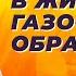 Хроническая диарея боль в животе и газообразование Причины лечение