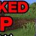 BEST CRACKED PUBLIC SMP SERVER