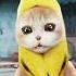 When Banana Cat Met Sad Hamster Bananacat Applecat Cottoneyejoe Gegagedigedagedago Memes