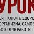 УРОК 2 ТОЧКА ИСЦЕЛЕНИЯ ОТ 100 БОЛЕЗНЕЙ АЛЕКСАНДР СОКОЛЕНКО