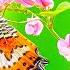 Most Colorful Butterfly 4K Video Relaxing Music With 12K Video Ultra HD 8K WORLD DOLBY