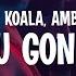 VIZE Y3LLO KOALA Amber Van Day Who U Gonna Love Lyrics