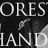 Synecdoche Montauk Forest Of Hands Official Acoustic Video