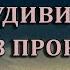 Самое удивительное что Аиша увидела в Пророкеﷺ