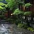 Listen To The Rain In The Japanese Garden Sound Of Rain Concentration Sounds Of Nature