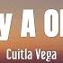 Cuitla Vega Te Voy A Olvidar Letra