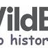 WildBrain Aka DHX Media Logo History