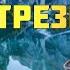 10 плюсов трезвости опыт 2 х лет Трезвость норма жизни с тех пор как бросил пить