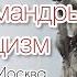 Сны Саламандры Экзорцизм Live 01 05 22