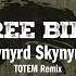 Free Bird Solo1 Hour TOTEM REMIX