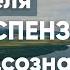 1 и 2 неделя Медитация Джо Диспенза Сила подсознания Части тела Практика 1 недели аюмедитэйшн